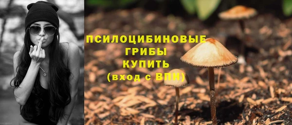 прущие крисы Абаза