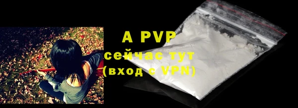 прущие крисы Абаза