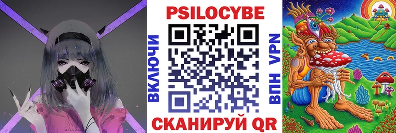 Галлюциногенные грибы Psilocybine cubensis  Куртамыш 